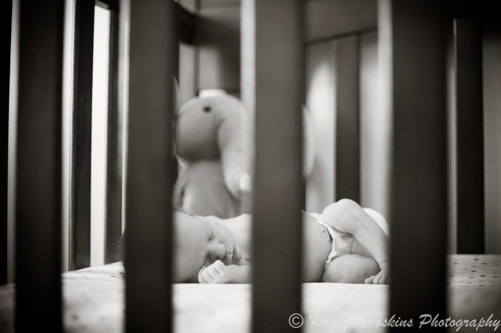 newborn sleeping in crib with stuffed elephant