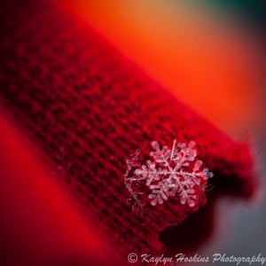 Snowflakes photographed on rainbow colored rug in Iowa