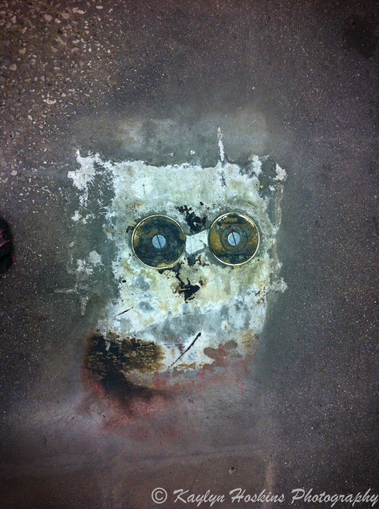 fun owl face on floor in HyVee