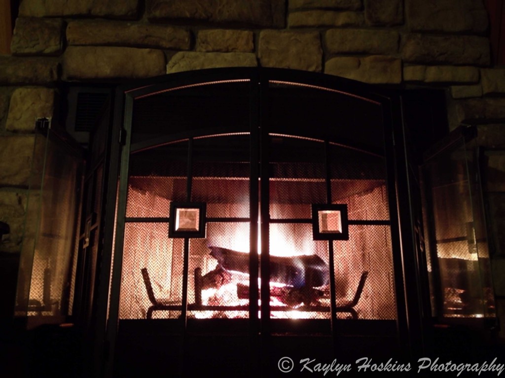 Decorative fireplace screen and grate together make a face