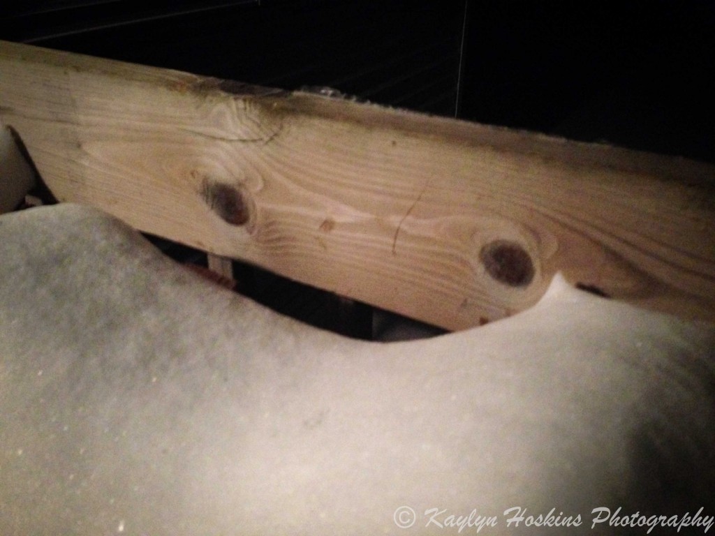 Fun face on snowy porch